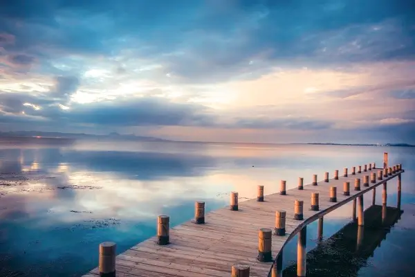 汉堡和馒头哪个含糖多