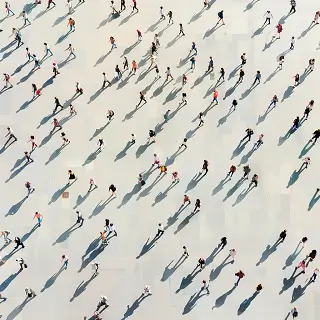 翅根琵琶腿哪个贵