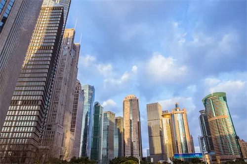 羊哪个部位皮做包