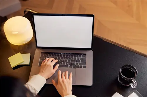 玉兰片竹笋哪个好吃