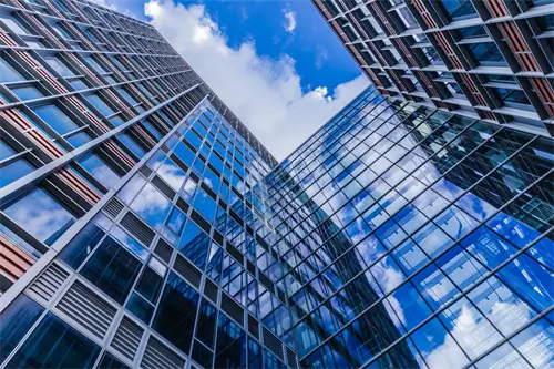 小排与子排哪个贵